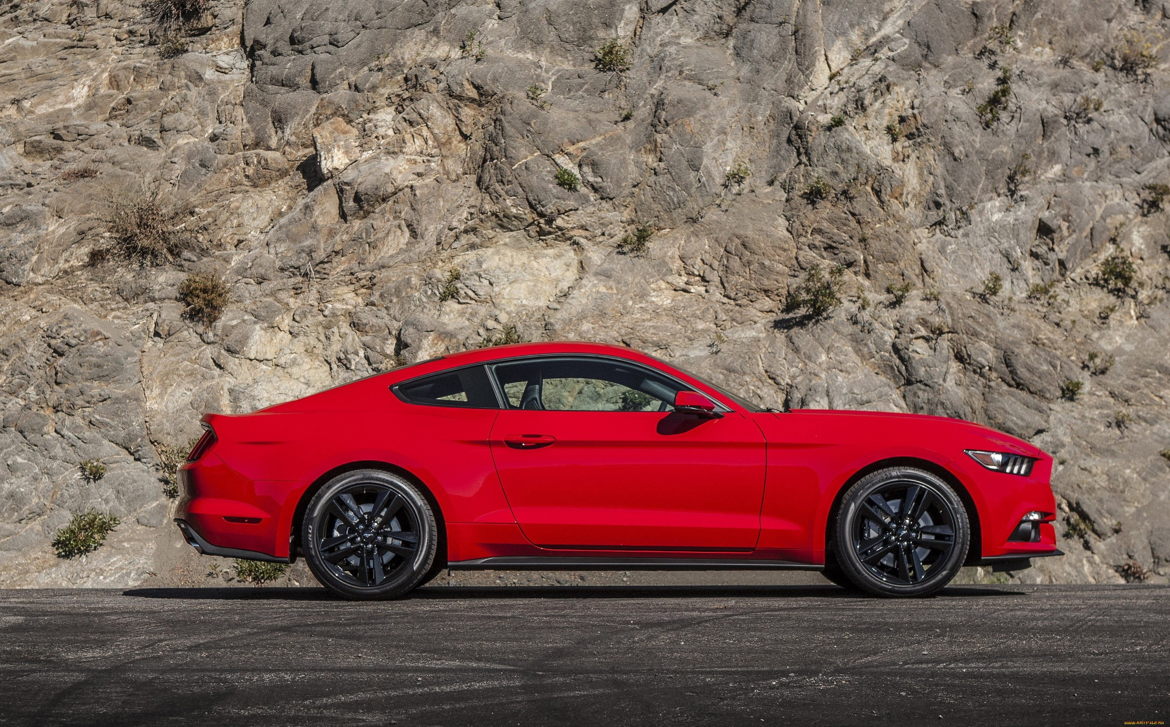 , ford, coupe, , ecoboost, mustang